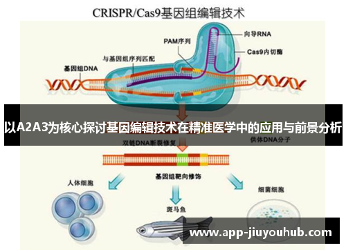 以A2A3为核心探讨基因编辑技术在精准医学中的应用与前景分析